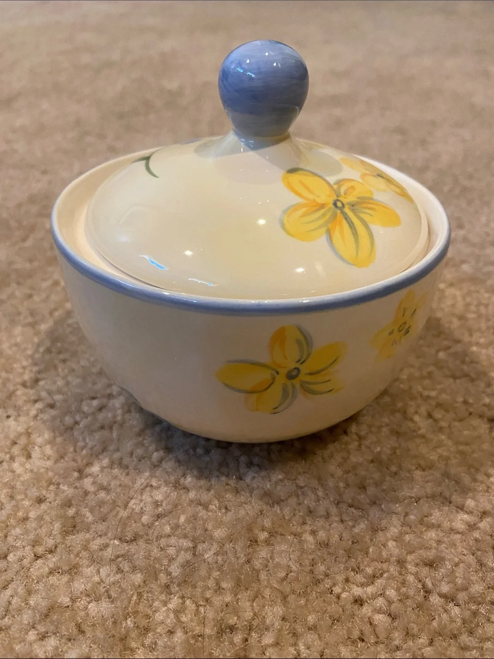 Vintage 2001 April Cornell Cottage Core Ceramic Sugar Bowl Dish & Lid Y2K Chip